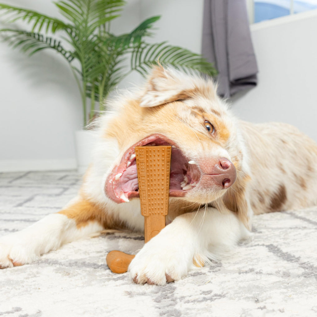 T-Shaped Dog Dental Chew Toy – Durable Non-Splintering Plastic Chew Toy with Textured Ridges & Ergonomic Grip for Aggressive Chewers, Teething Puppies & Adult Dogs, Teeth Cleaning Dog Toy