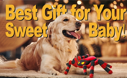 Squeaky Spider Dog Toy for Large Dogs – Interactive Crinkle Tug of War Plush Puppy Toy with Squeaker Head & Crinkle Legs, Keeps Dogs Busy for Hours, No Battery Needed, Blue & Red Spider