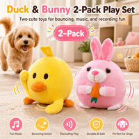 Two items(Duck and rabbit)