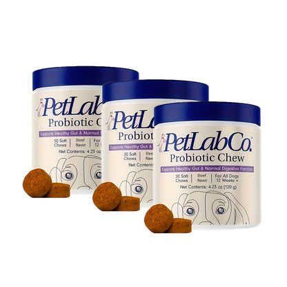 Dog Probiotic Prebiotic Chewable Treats Natural Ingredients Supports Gut Health Digestion Quality of Life - 1 Pack or 3 Pack Best Value