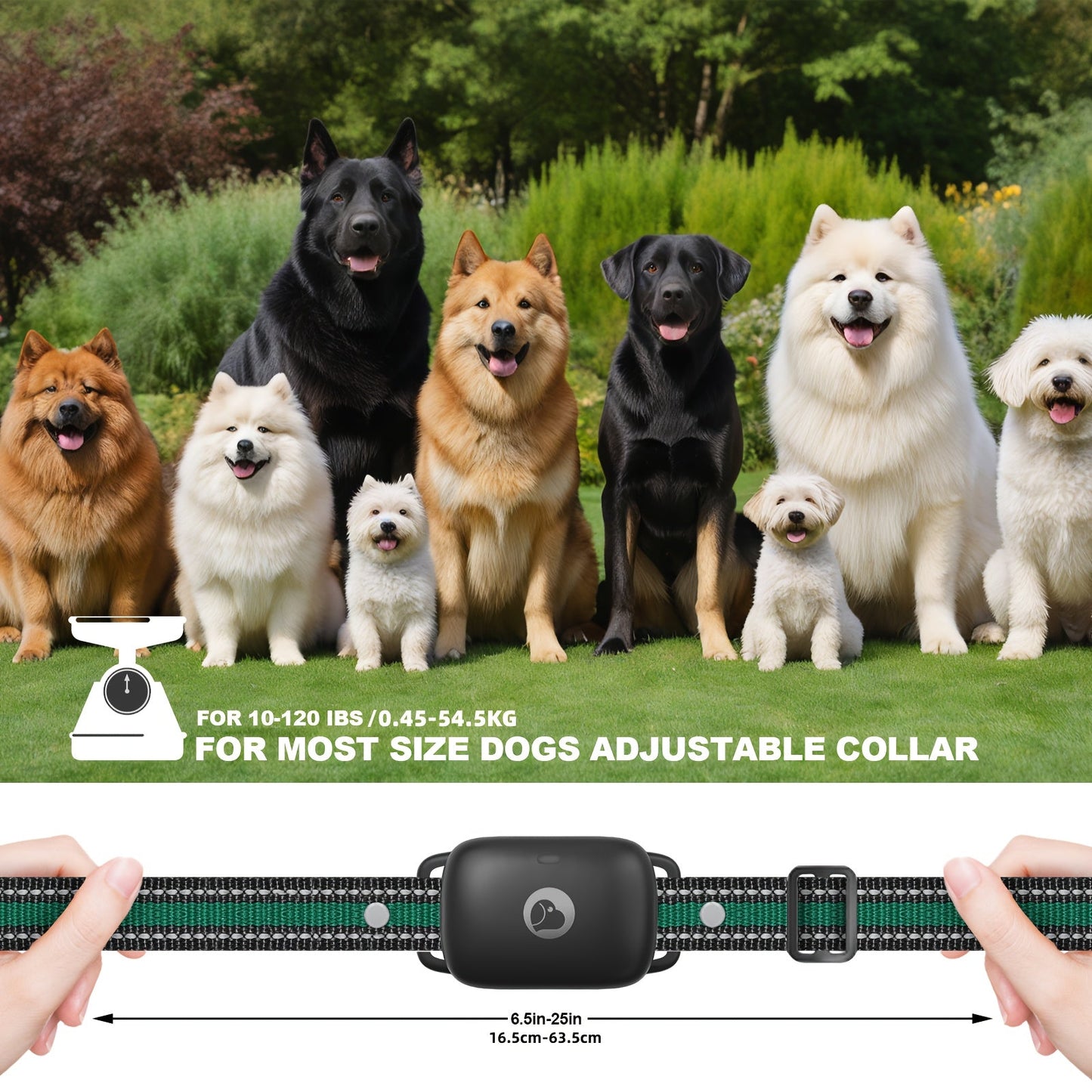 Dog Training Collar with Remote – IP68 Waterproof Rechargeable E-Collar for Small Medium Large Dogs, 3 Safe Training Modes (Beep, Vibration, Shock), 1640ft Range, Black
