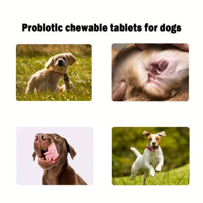 Dog Probiotic Prebiotic Chewable Treats Natural Ingredients Supports Gut Health Digestion Quality of Life - 1 Pack or 3 Pack Best Value