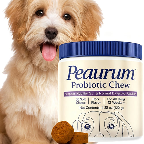 Probiotics for Dogs 60 Softgels Natural Plant-Based Formula Supports Gut Health Digestion Seasonal Allergy Relief - 120g 1 Pack or 2 Pack
