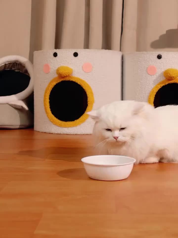 2-in-1 Gravity Pet Feeder for Cats & Dogs – Non-Electric Automatic Food & Water Dispenser, Space-Saving, Easy to Clean, Ideal for Multi-Pet Homes