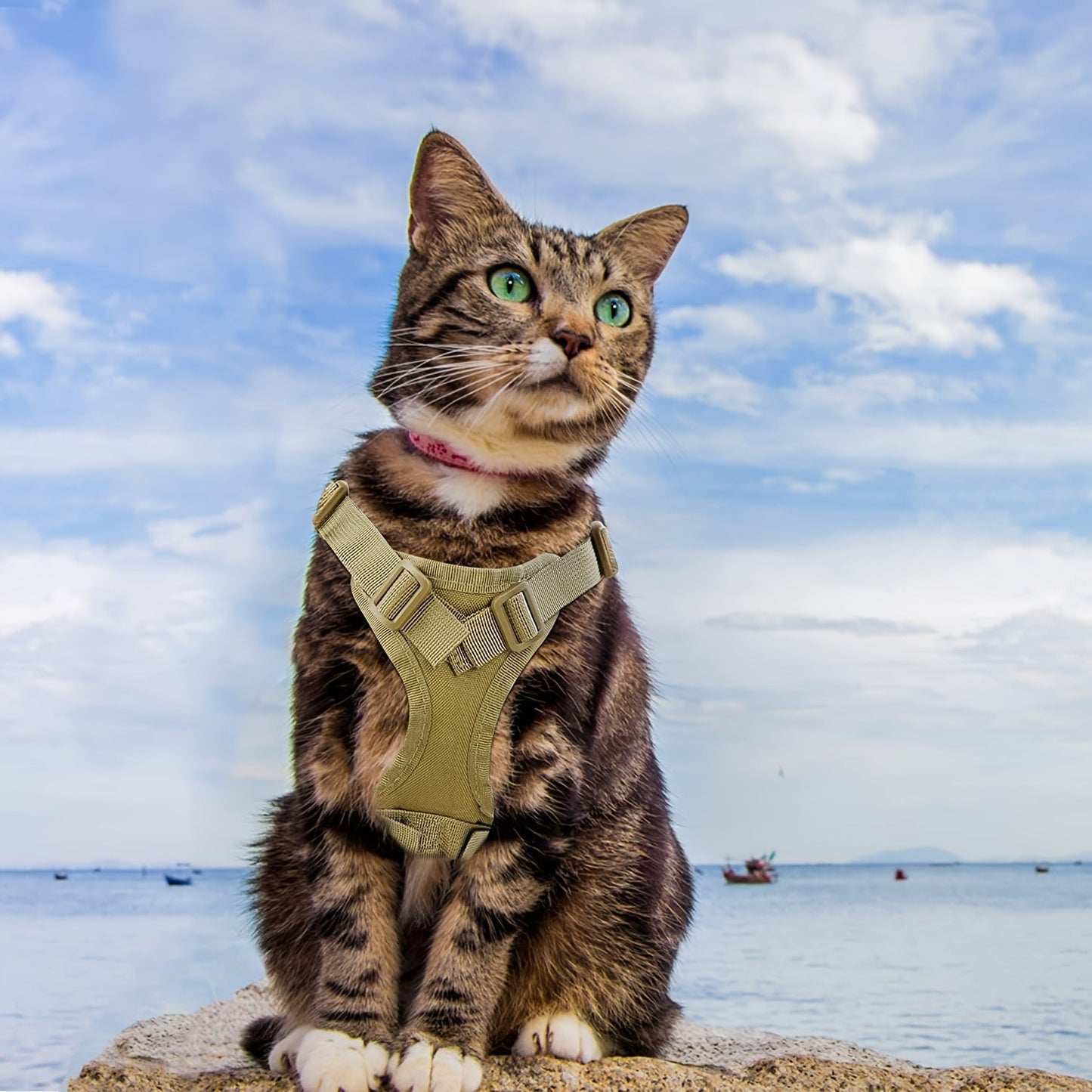Cat Tactical Vest Harness Adjustable Escape-Proof 600D Oxford Pet Chest Strap Training Clothes for Cats & Small Dogs One Size Fits Most