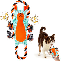 Chinchilla