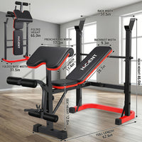 Foldable Preacher Curl Bench