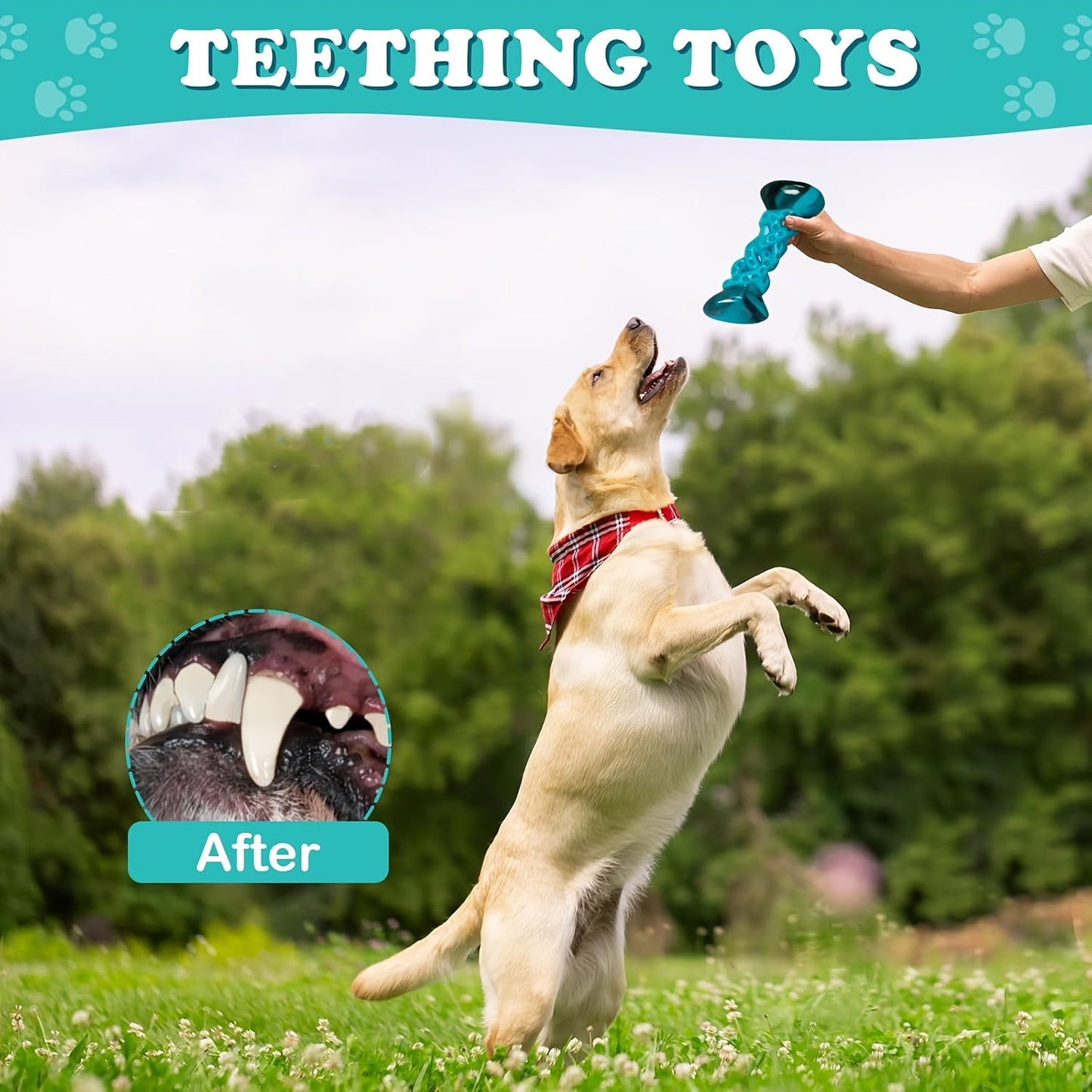 Durable Nylon Dog Chew Toy Anxiety Relief Boredom Buster Indestructible Pet Toy for Small Medium Large Dogs Aggressive Chewers Standard and Large Size Keeps Dogs Busy Stress Relief
