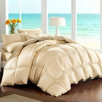 oatmeal beige(Housewarming)