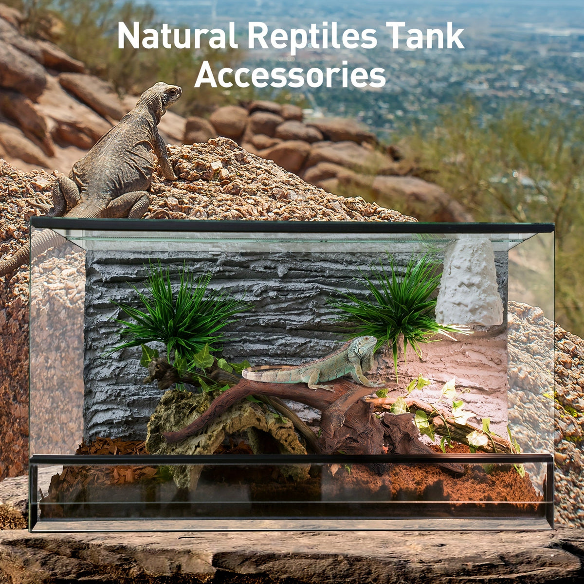 Natural Sinking Driftwood for Aquarium Decor – 3pcs Large Real Wood Fish Tank Decoration for Freshwater, Reptile & Terrarium, Fish-Safe Purple Teak Driftwood Set