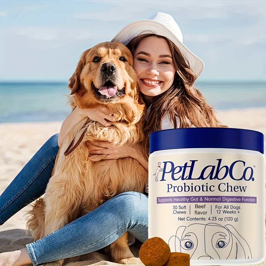 Dog Probiotic Prebiotic Chewable Treats Natural Ingredients Supports Gut Health Digestion Quality of Life - 1 Pack or 3 Pack Best Value