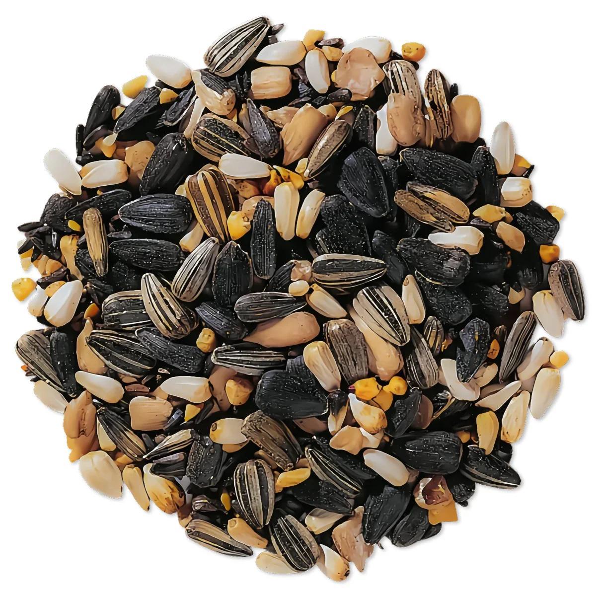 Premium Wild Bird Seed 1 lb No-Filler Songbird Food for Hanging Feeders Lawn Stands Ground Feeders Year-Round Outdoor Bird Feeding Attracts Songbirds
