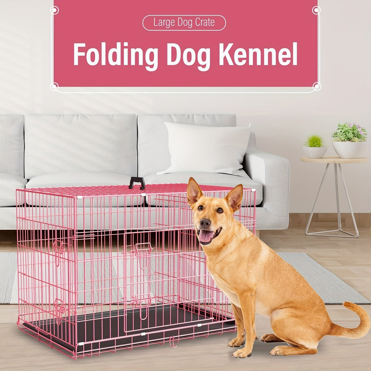 Double Door Folding Metal Dog Crate 42 48 Inch with Divider Leak-Proof Tray High-Temp Paint Finish Wire Kennel Puppy Medium Large Dogs Indoor Outdoor Black Blue Pink