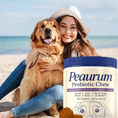 Probiotics for Dogs 60 Softgels Natural Plant-Based Formula Supports Gut Health Digestion Seasonal Allergy Relief - 120g 1 Pack or 2 Pack