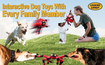 Squeaky Spider Dog Toy for Large Dogs – Interactive Crinkle Tug of War Plush Puppy Toy with Squeaker Head & Crinkle Legs, Keeps Dogs Busy for Hours, No Battery Needed, Blue & Red Spider