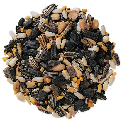 Premium Wild Bird Seed 1 lb No-Filler Songbird Food for Hanging Feeders Lawn Stands Ground Feeders Year-Round Outdoor Bird Feeding Attracts Songbirds