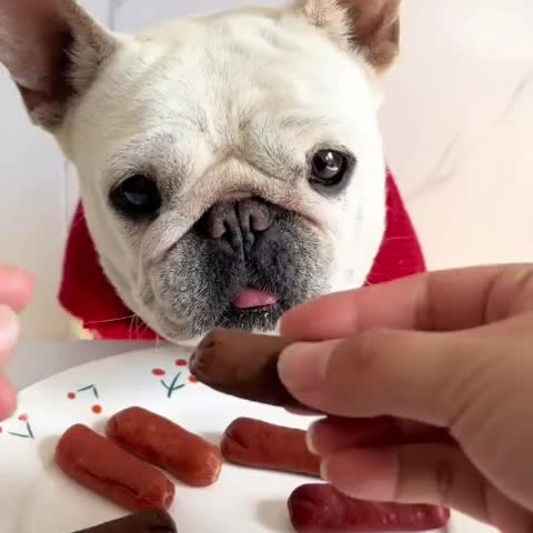 Duck Jerky Freeze-Dried Chicken Dog Treats Soft Chewy Training Rewards Healthy Digestible Beef Sausage Fresh Breath Snack Chicken Leg Grind All Dog Sizes Small Medium Large