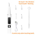 Electric Pet Teeth Cleaning Kit for Cats and Dogs USB Rechargeable Tartar Stain Remover with 4 Cleaning Heads 5 Modes - Dog Cat Dental Care Tool