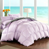 Lavender/Grey